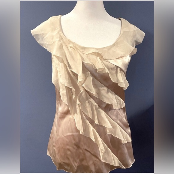 White House Black Market Tops - White House Black Market Champagne Silk Stretch Blouse